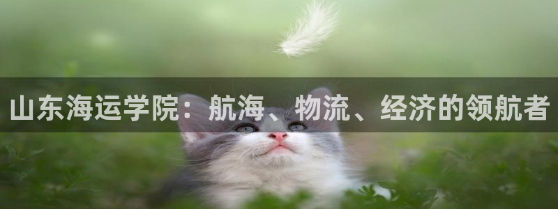 公海赌船赌博