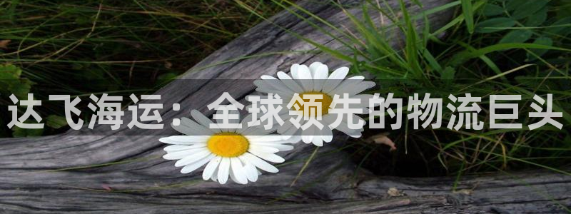 公海赌赌船官网