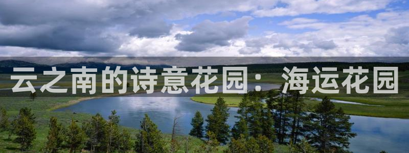 欢迎来到海牛星简谱