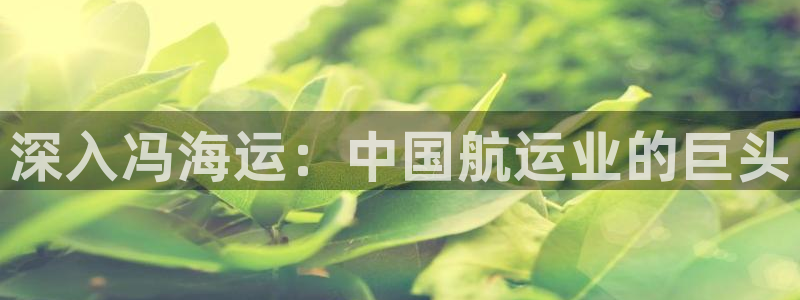 欢迎你来到公主的海岛