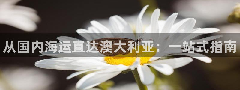 欢迎您来到公海