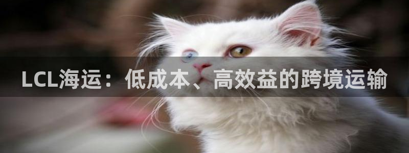 公海赌钱算合法收益吗