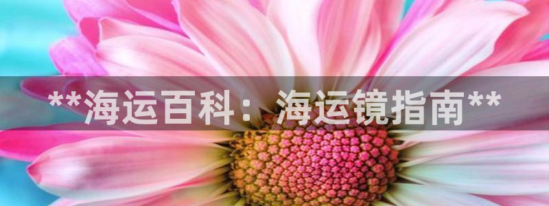 公海赌博怎么处理