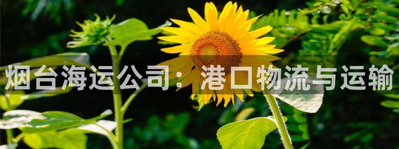 欢迎你来到 公主的海岛