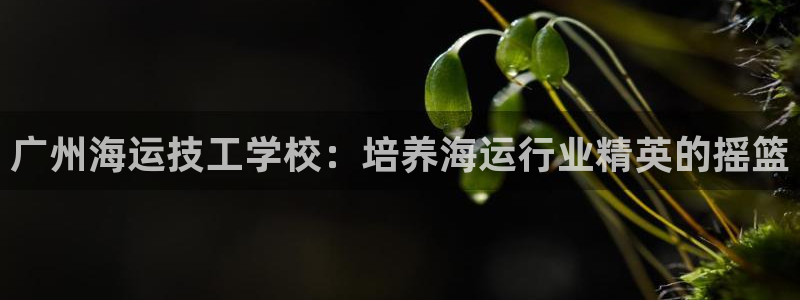 欢迎公海来到赌船710_首页(欢迎您)