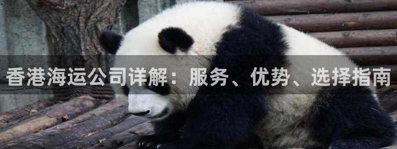 公海赌博怎么处理