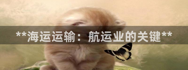 公海赌赌船官网jc710