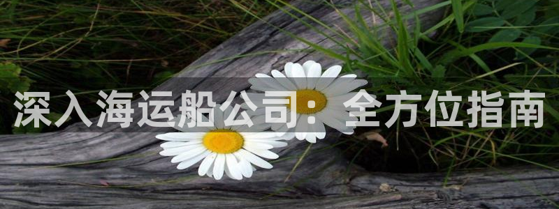 公海赌钱算合法收益吗
