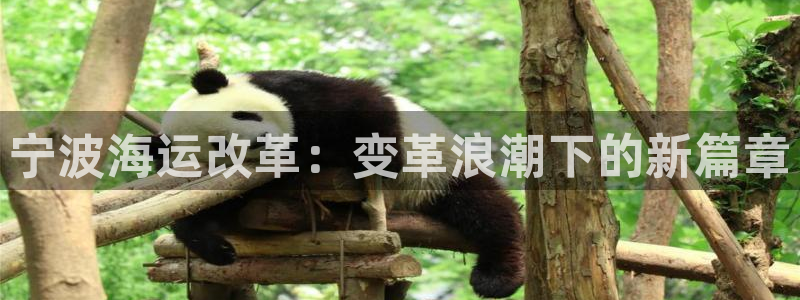 欢迎上船
