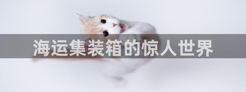 欢迎您到公海赌来