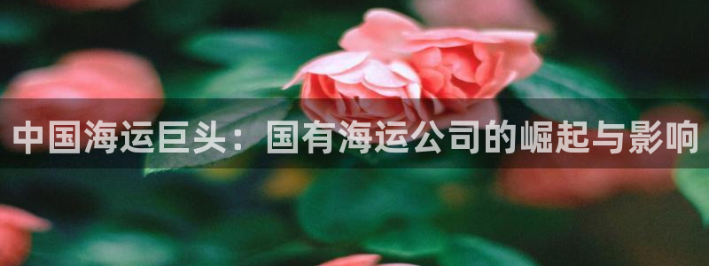 公海欢迎来到赌船