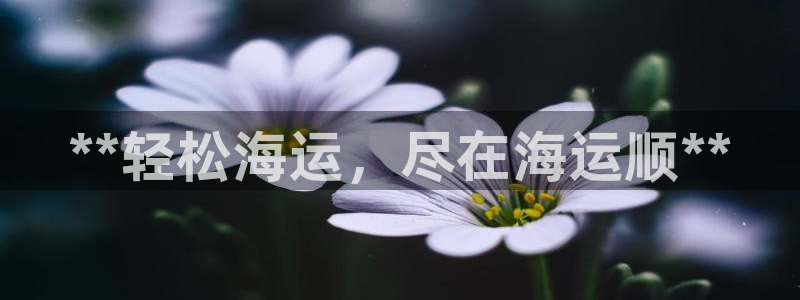 公海赌博犯法吗