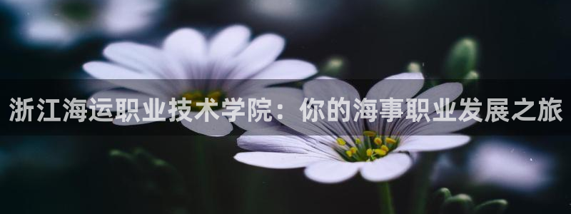 公海赌赌船官网710忘记账号了