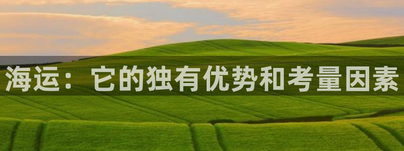 欢迎来到公海电脑版