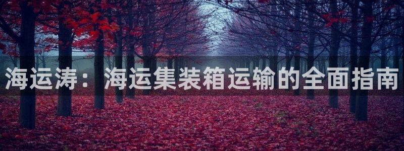 欢迎你来到 公主的海岛