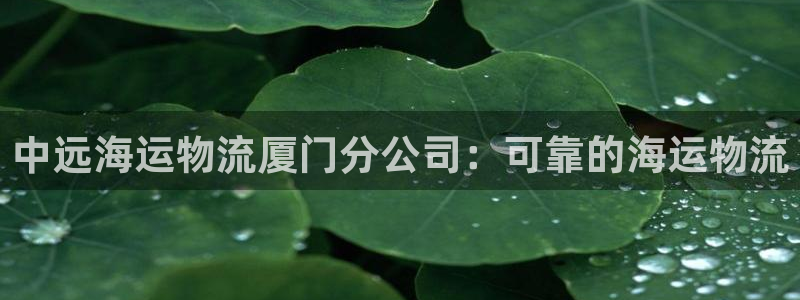 公海赌船怎么样