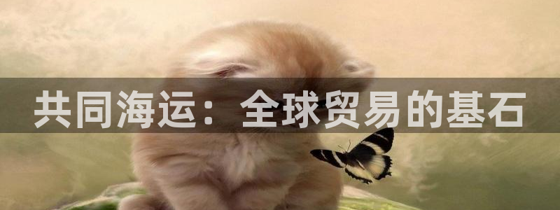 公海船赌网站是多少