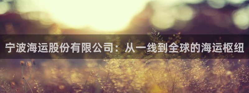公海赌博为什么不犯法