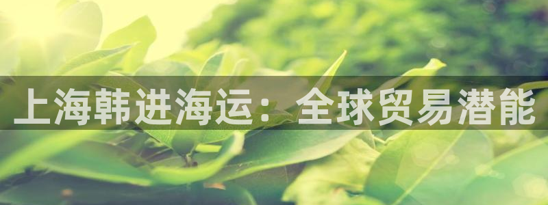 欢迎来到公海
