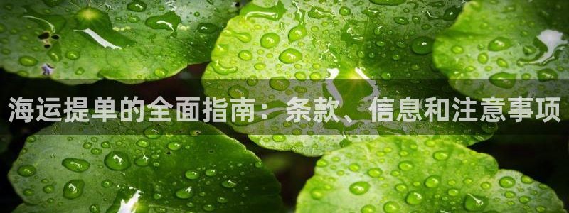 公海赌赌船官网jc7