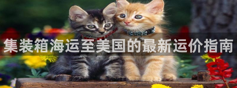 公海赌赌船官网jc710