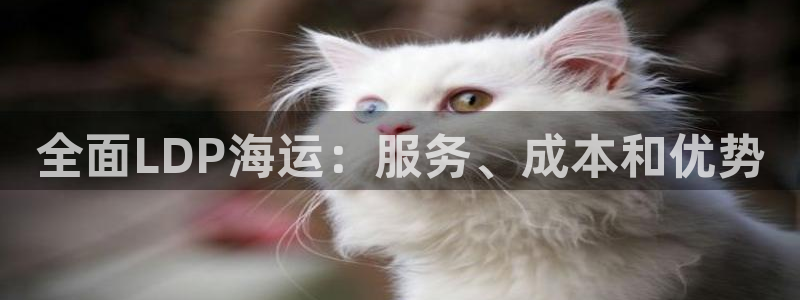 欢迎来公海欢迎来到赌船!