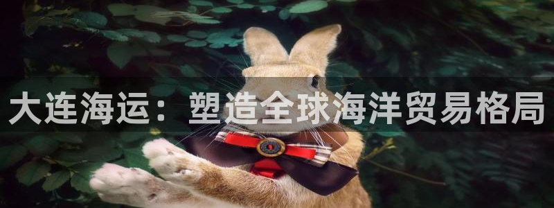 公海赌博怎么处理