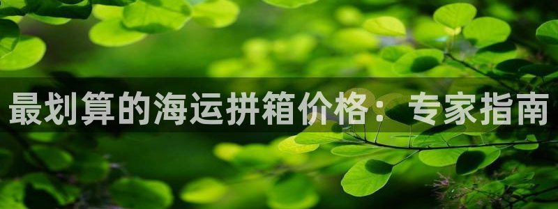 公海赌博为什么不犯法