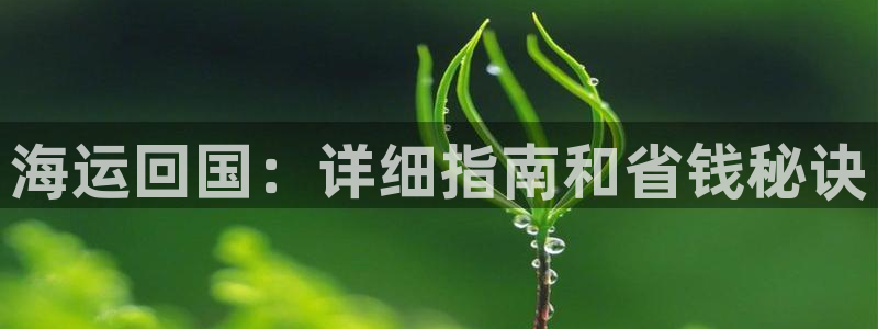 欢迎你来到公主的海岛