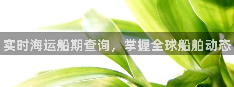 欢迎登船