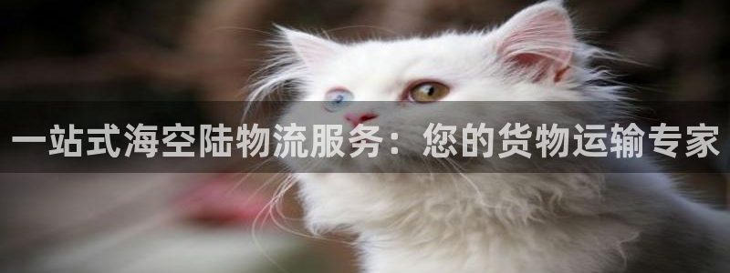 公海 赌船710手机版下载官方