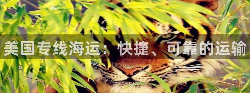 去公海赌博