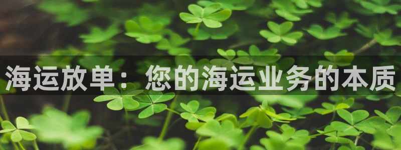 公海欢迎来到