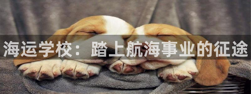 公海赌赌船官网710忘记账号了