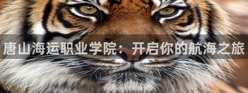 欢迎来到公海欢迎来到赌船