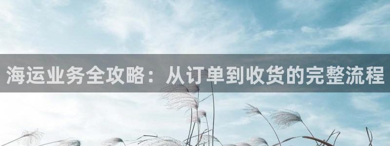 欢迎你来到 公主的海岛