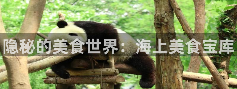 欢迎到我的船上来的英文