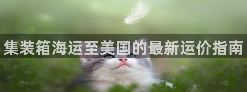 公海赌钱违法吗