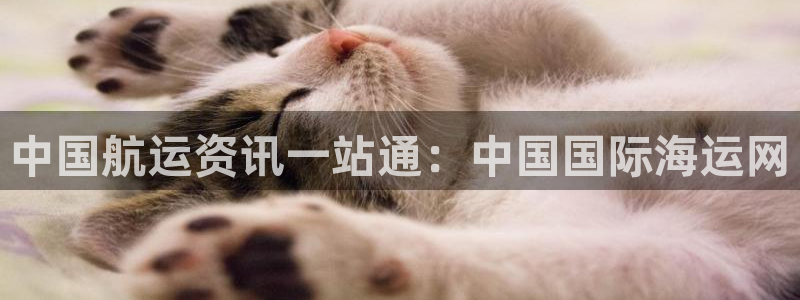 欢迎来公海欢迎来到船701