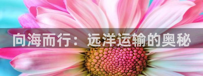 公海船赌网站是多少