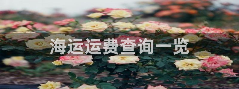 欢迎你来到公海710