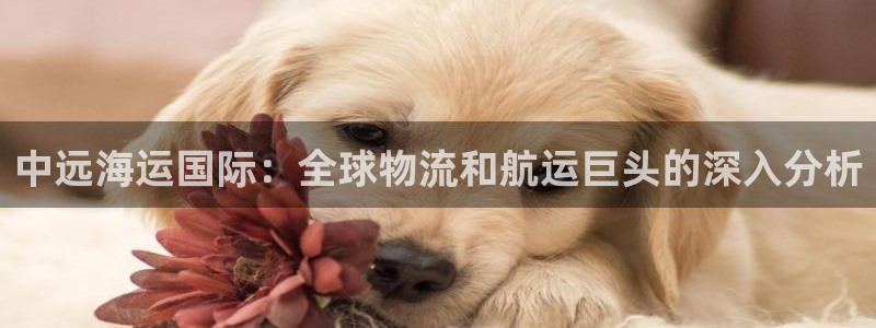 欢迎来到公赌船