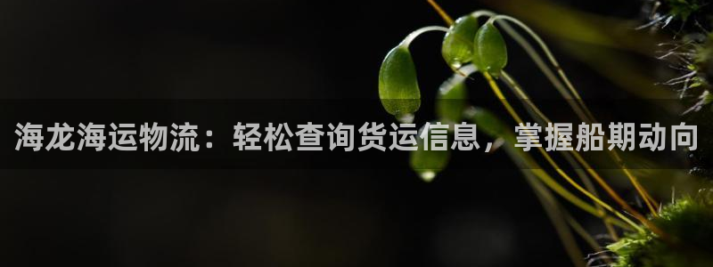 公海赌赌船官网jc710公海