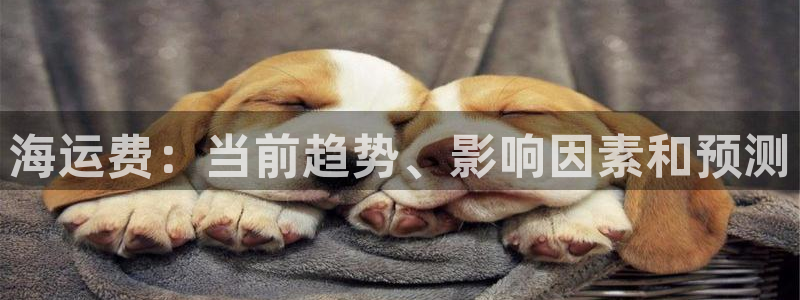 在公海赌博犯法吗