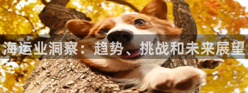 公海赌赌船官网可以做代理吗