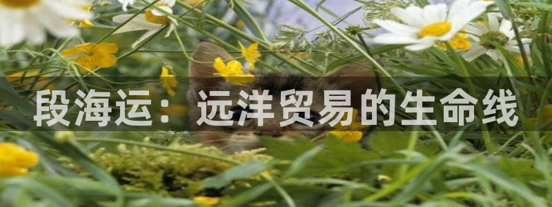 欢迎你来到公海710