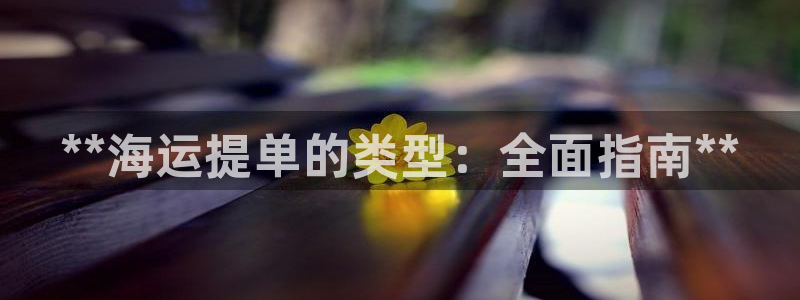 欢迎来到公海电脑版